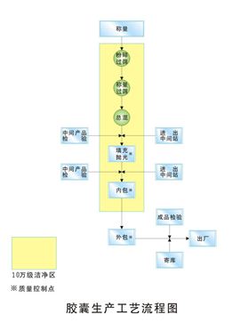 上海德雅生物科技硬胶囊生产工艺流程图