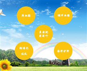 养生讲堂----显齿蛇葡萄叶作用 养生讲堂----显齿蛇葡萄叶作用
