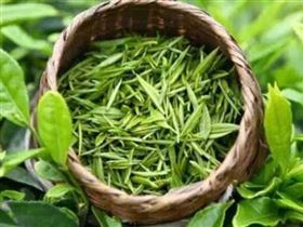 茶多酚软胶囊代加工