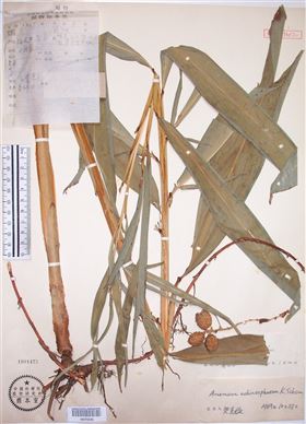 上海保健食品代加工OEM