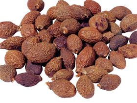 上海定制胖大海保健食品