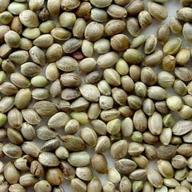 保健食品火麻仁代加工