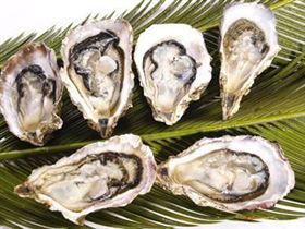 代加工牡蛎凝胶糖果OEM