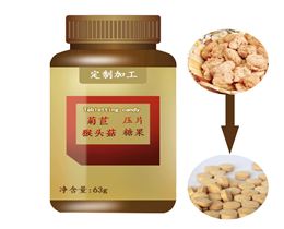 菊苣猴头菇片加工猴头菇片加工贴牌片剂加工厂家