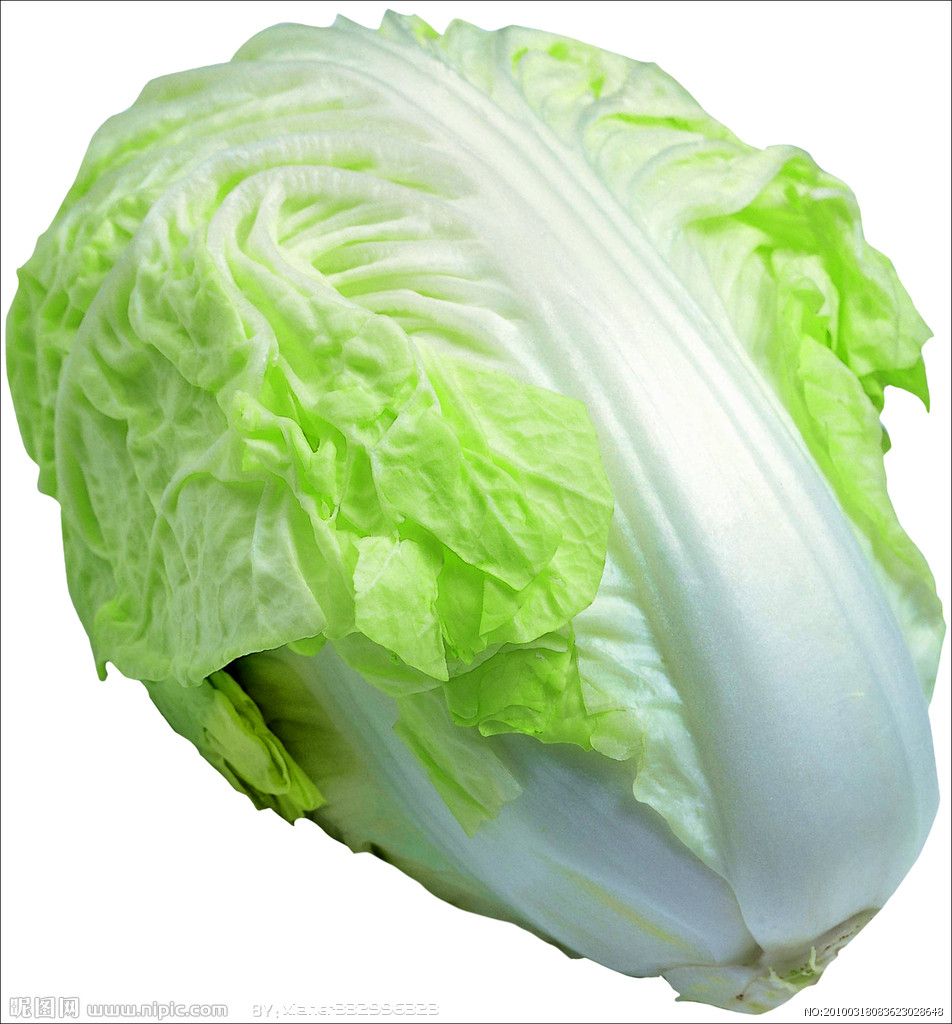 养生讲堂 养生讲堂