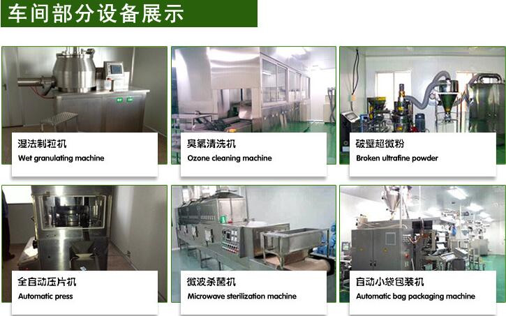 大麦若叶青汁粉固体饮料