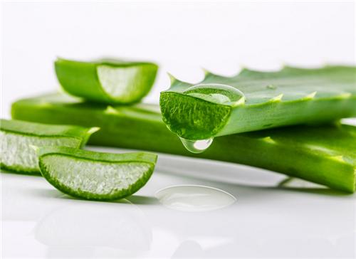 芦荟压片糖果代加工 芦荟压片糖果代加工