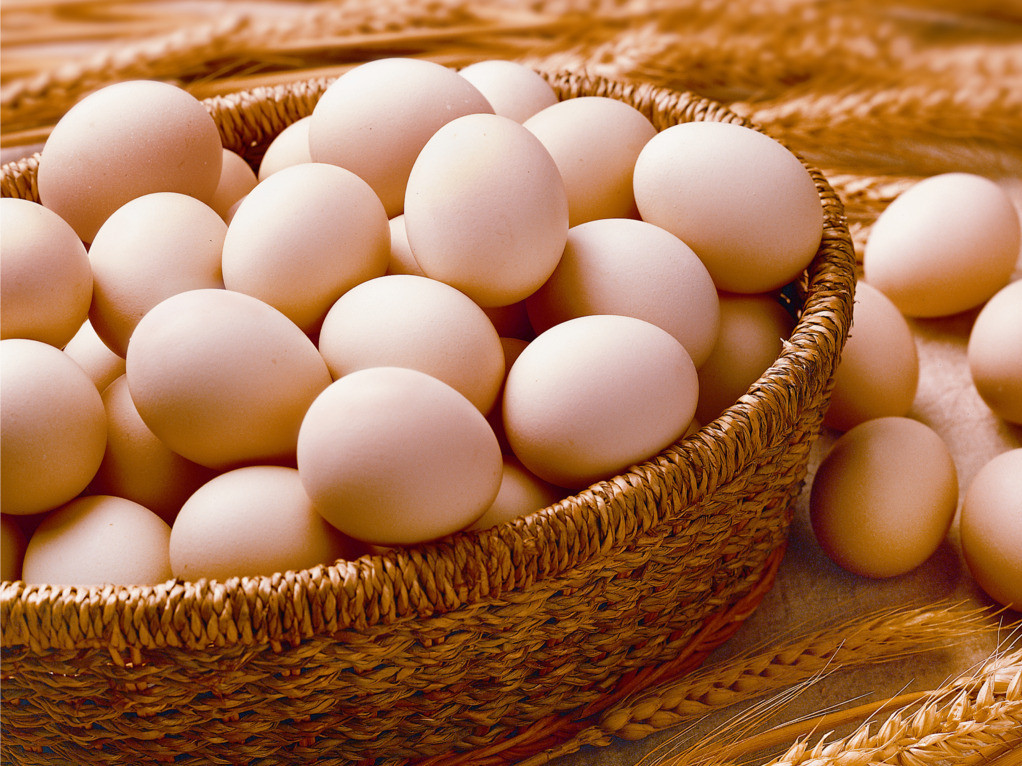 养生讲堂——鸡蛋的营养价值