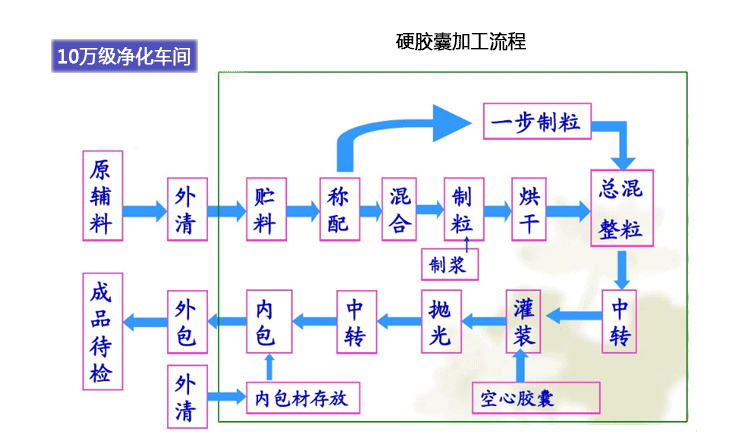 硬胶囊加工流程