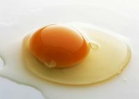 蛋类 保健食品代加工