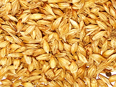 麦芽保健食品代加工OEM